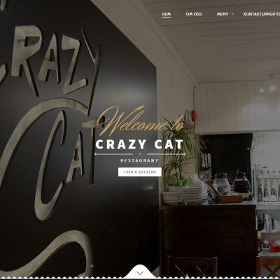 crazycat-1 (Demo)